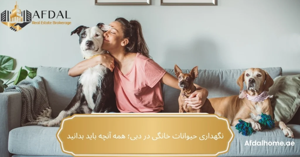 نگهداری حیوانات خانگی