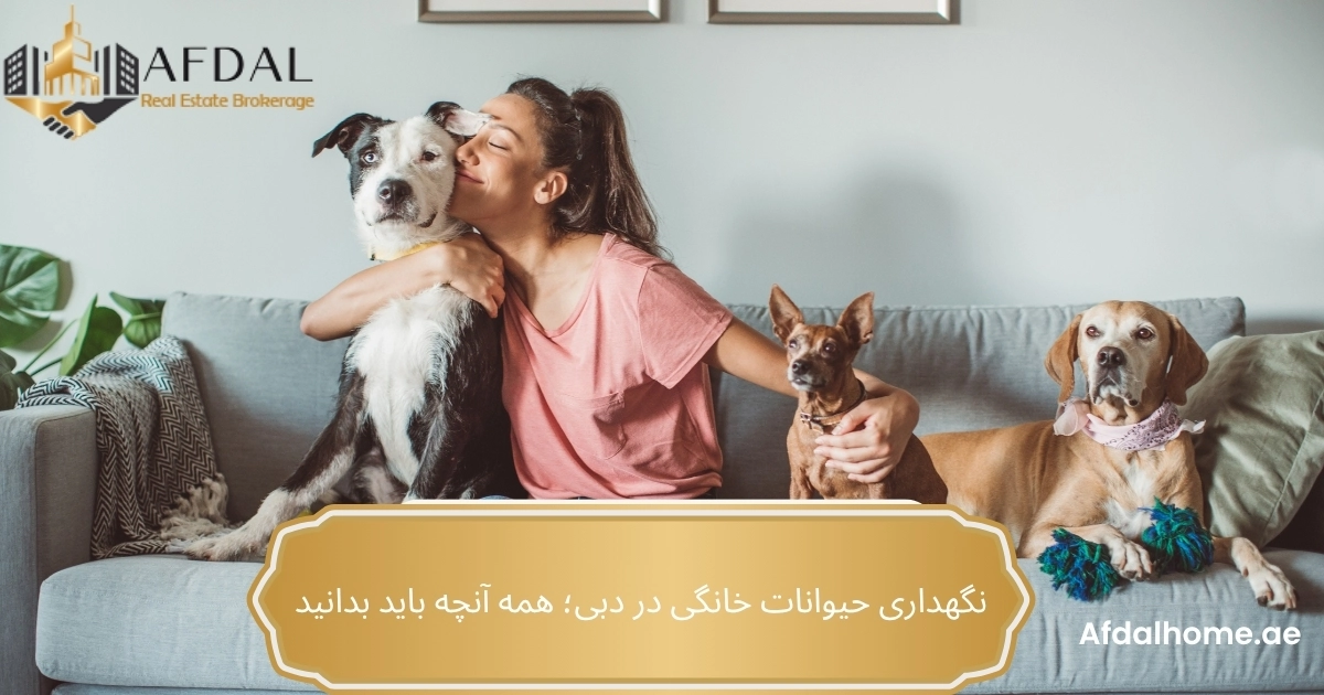 نگهداری حیوانات خانگی در دبی؛ همه آنچه باید بدانید