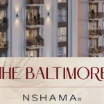 the baltimore