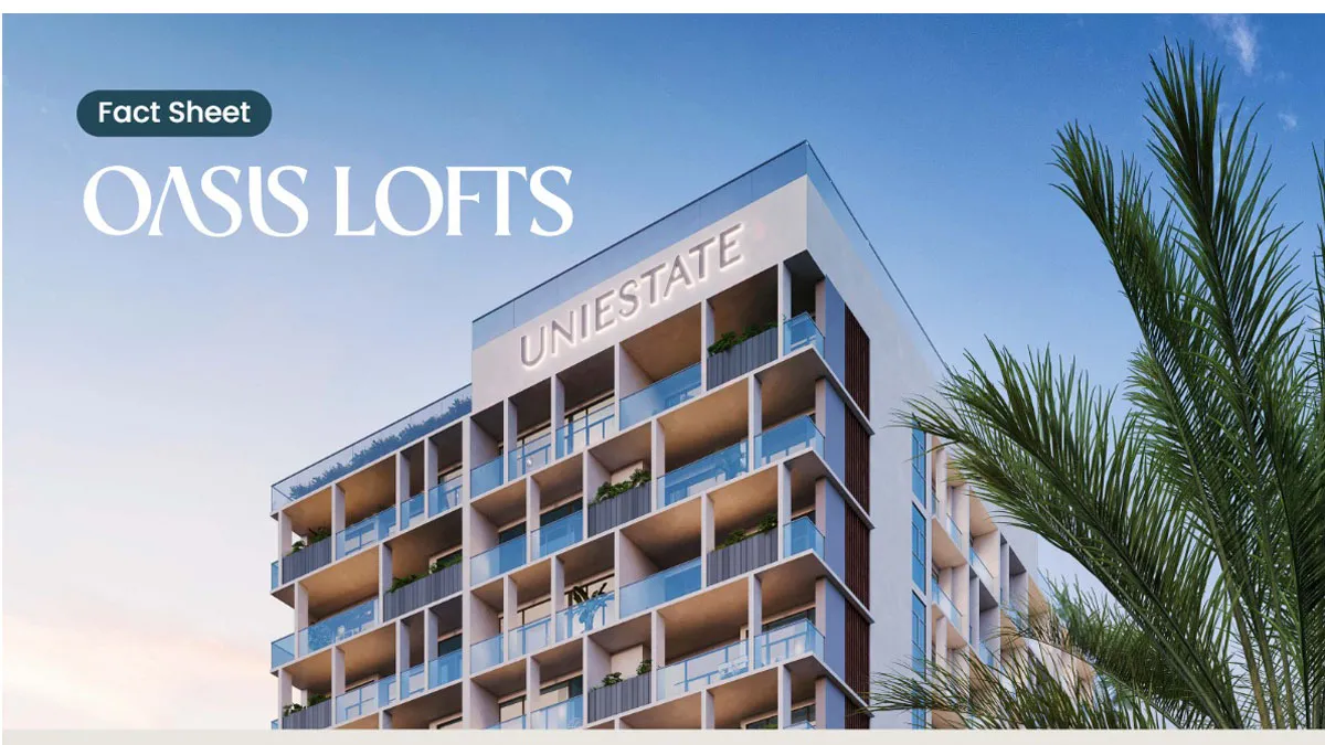 oasis lofts