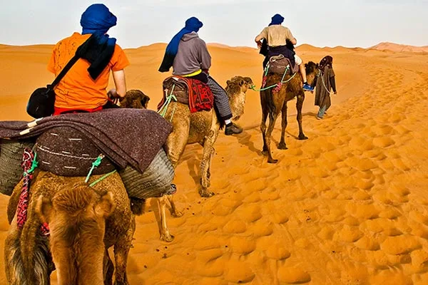 سافاری در دبی
