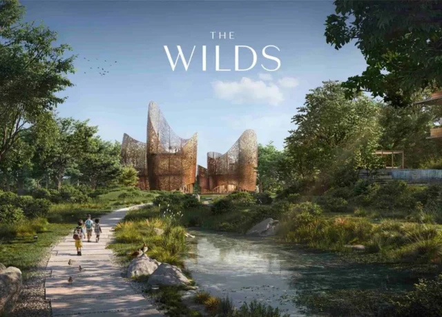 پروژه The Wilds در دبی لند